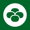 ren-matcha-duj.pages.dev favicon